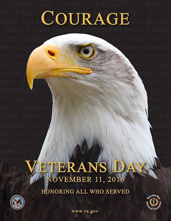 Veterans Day Poster 2016