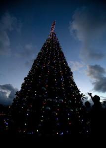 Christmas tree lighting ceremony at Marine Corps Base (MCB) Hawaii.