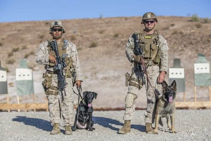 K9 Corps
